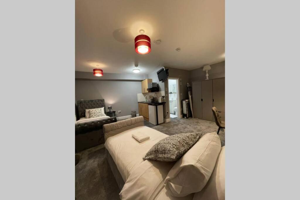 Spacious, Bright Twin Studio Apartment Лондон Экстерьер фото